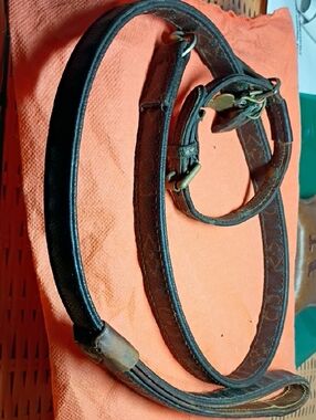 Louis Vuitton Brown Leather Dog Collar and Leash Set